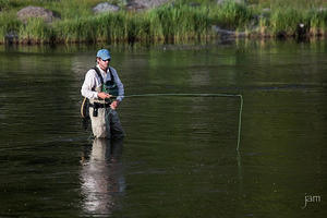 Fly Fisherman, Madison River, Yellowstone