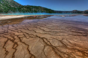Mudflats, Great Prismatic Spring, Yellowstone