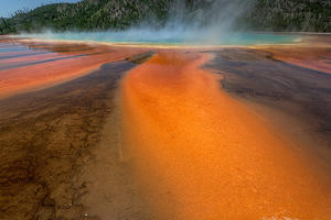 Yellow Bacteria Growth, Great Prismatic Spring, Yellowstone
