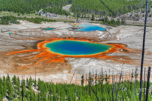 The Great Prismatic Spring, Yellowstone