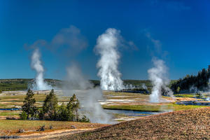 Early Morning Steam Rising from Midway Geyser Basin, Yellowstone