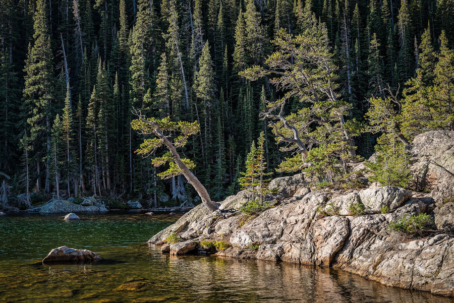 Dream Lake
