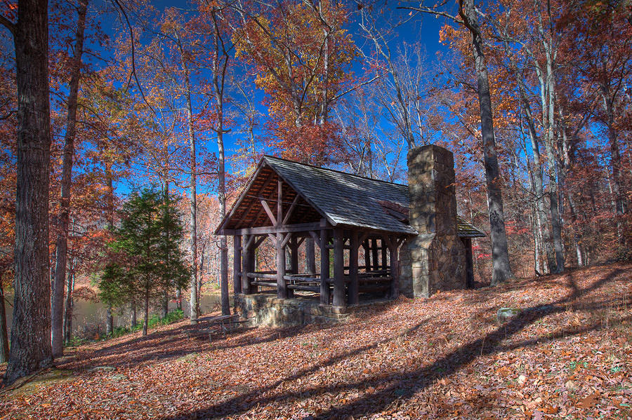 Backwoods Shelter Pennyrile Forest