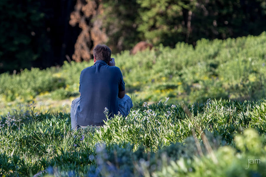 John Photographing a Bear, Yellowstone - Credit Rachel McCubbin