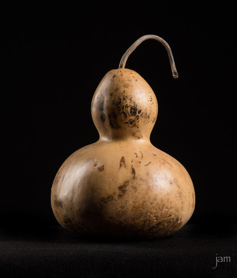 Studio Flash Test - Gourd