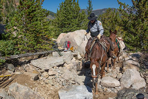 Mule Train Ascending to The Loch
